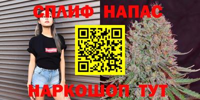 Альфа ПВП Пугачёв