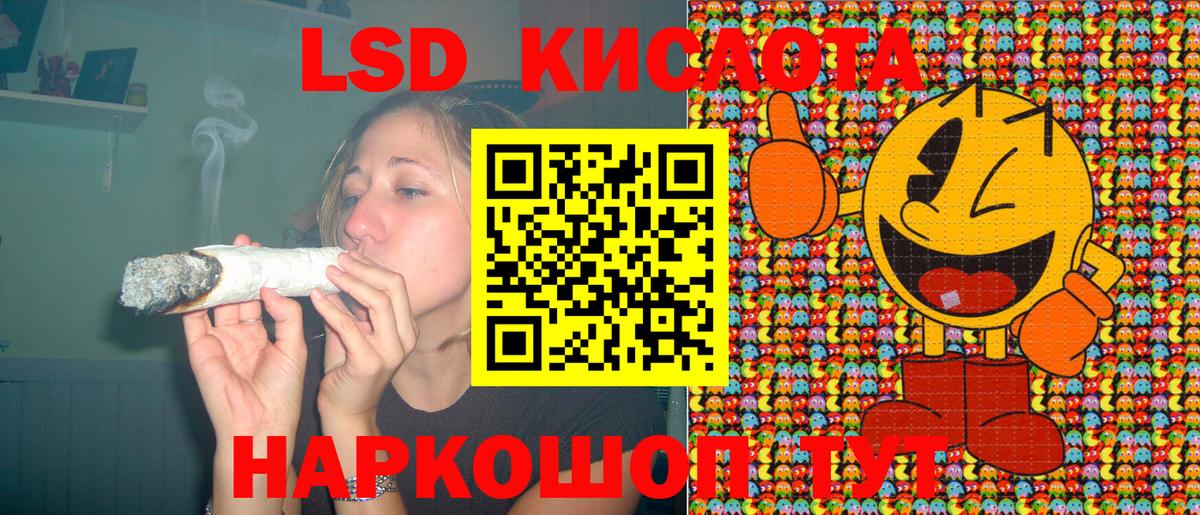 Пугачёв  Марки NBOMe 1500мкг  как найти   Вход с VPN 