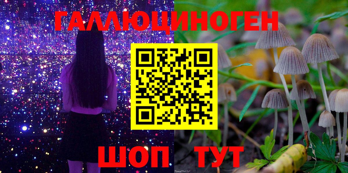 Псилоцибиновые грибы прущие грибы  Вход с VPN  Галлюциногенные грибы MAGIC MUSHROOMS  Пугачёв 