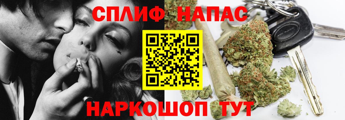 Конопля индика Пугачёв